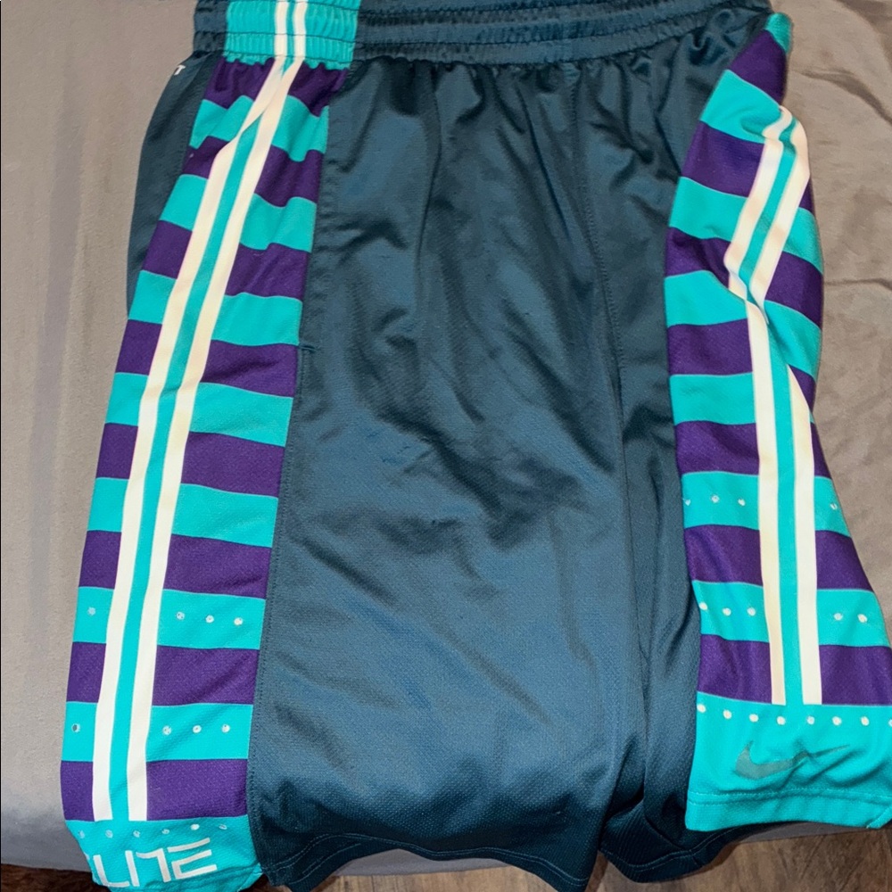 Nike Teal and Purple Striped Athletic Shorts